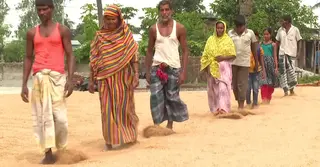 বগুড়ায় চালের দাম নিয়ে উদ্বেগ থাকে ক্রেতাদের